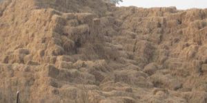 Paddy Straw Shredders