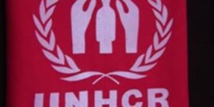 Thermal Synthetic Blanket