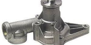 Suzuki Swift Water Pump