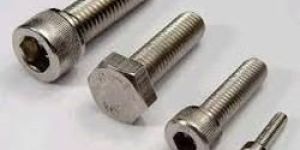 Stainless Steel Bolts