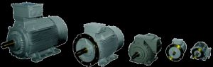 Squirrel Cage Induction Motors