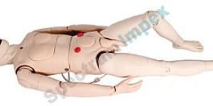 VEIN INJECTION ARM Model