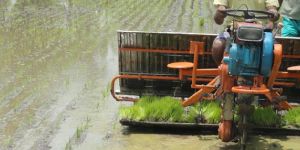 Rice Transplanter