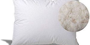 Down Pillows
