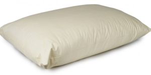 Medical Pillow