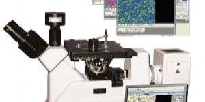 Image Analysis Software