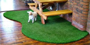 Artificial Grass Carpet