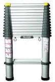 Telescopic Ladder