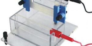 Gel Electrophoresis