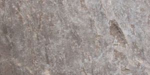 Autumn Brown Cobblestone