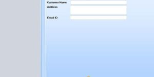 Retail Software Developer