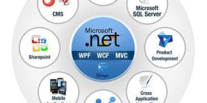 Software Development Services