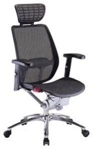 Ergonomic Office Chairs