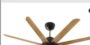 Havells Ceiling Fans