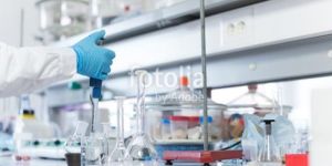 PROCESS DEVELOPMENT LABORATORY