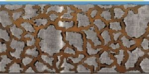 Water Repellent Coatings