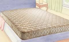 Dorowell Luxury Mattress