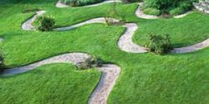 Garden Maintanice Services