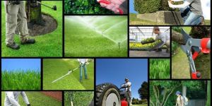 Garden Maintenance Services
