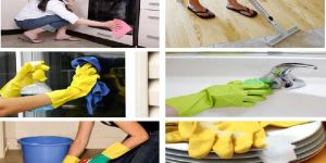 Hygiene Cleaning and Support Services