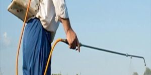 Pest Control Services