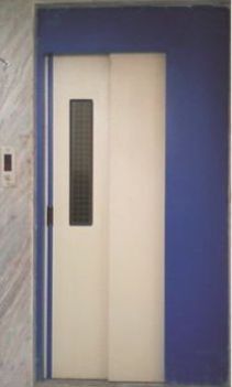 Stainless Steel Manual Telescopic Elevator Door