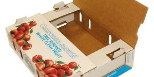Fruit Corrugated Boxes