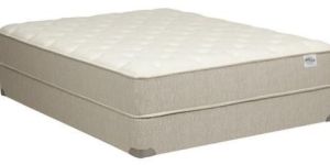 Sleep Memory Foam Mattress
