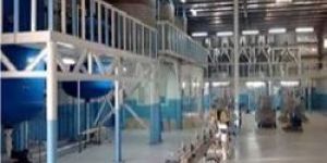 Detergent Powder Plant