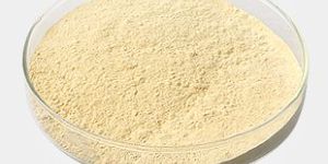 E415 Xanthan Gum