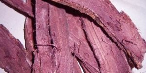 Mimosa Tenuiflora Root Bark