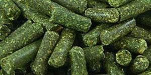 Alfalfa Pellets