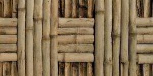 Bamboo Wood