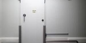 Cold Room Door