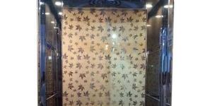 Mild Steel Automatic Lift Door