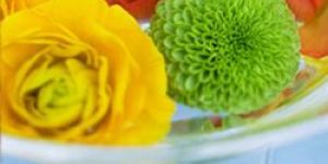 Paint & Ink Coatings