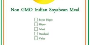 Soya DOC / Soya Meal