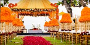 Beach Wedding Organiser