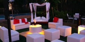 Private Party Organiser