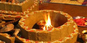 Theme Wedding Organiser