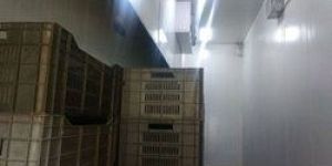 Banana Ripening Chamber