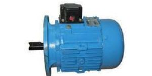 Standard Shaft Tower Motor