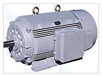 Energy Efficient Motors