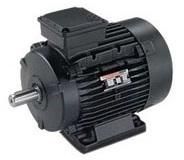 Screen Protected Drip Proof Motors