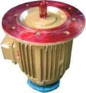 Vertical Hollow Shaft Motor