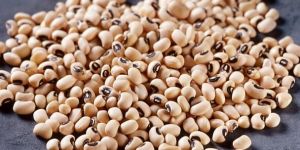 Black Eye Beans (Lobiya)