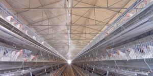 G E Classic Layer Cages