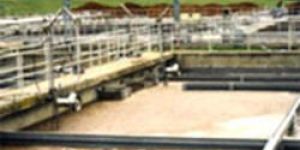 Sewage Treatment Plant (STP)