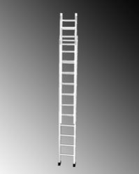 Wall Support Extendable Ladder