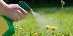 Agricultural Herbicides